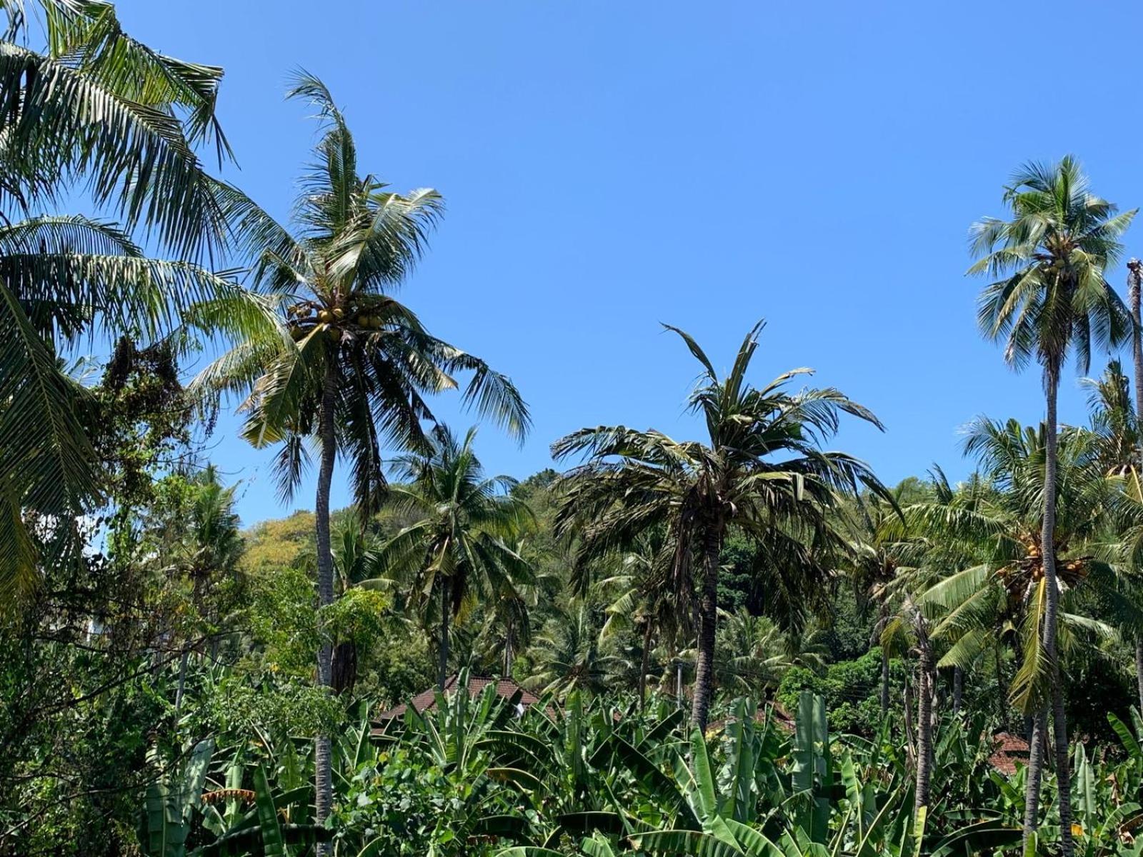 Jepun Inn Padang Bai Exterior foto